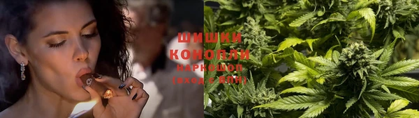 ECSTASY Костерёво