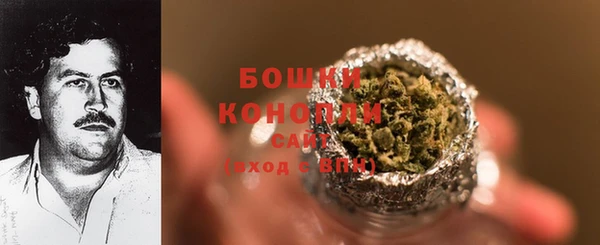 ECSTASY Костерёво