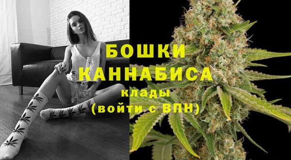 ECSTASY Костерёво