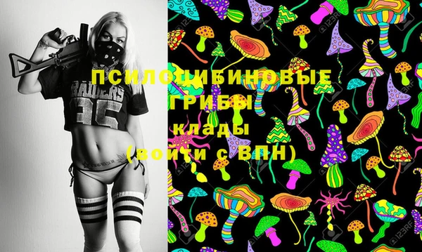 spice Коряжма