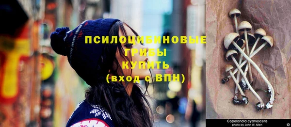 ECSTASY Костерёво