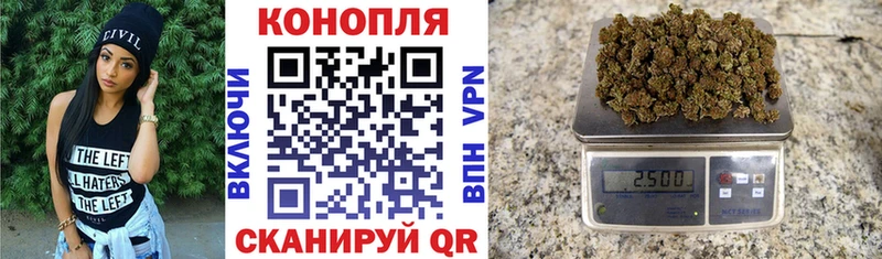 Купить где  Сургут  Бошки Шишки сатива 