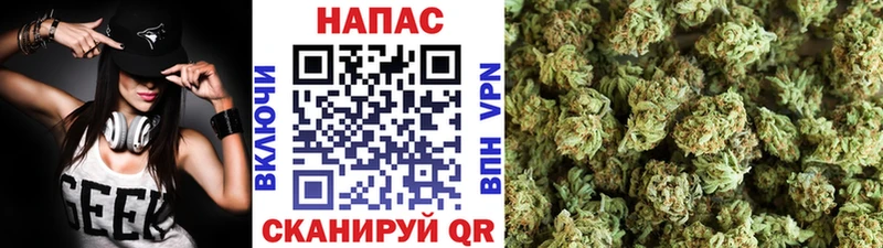Конопля план Сургут